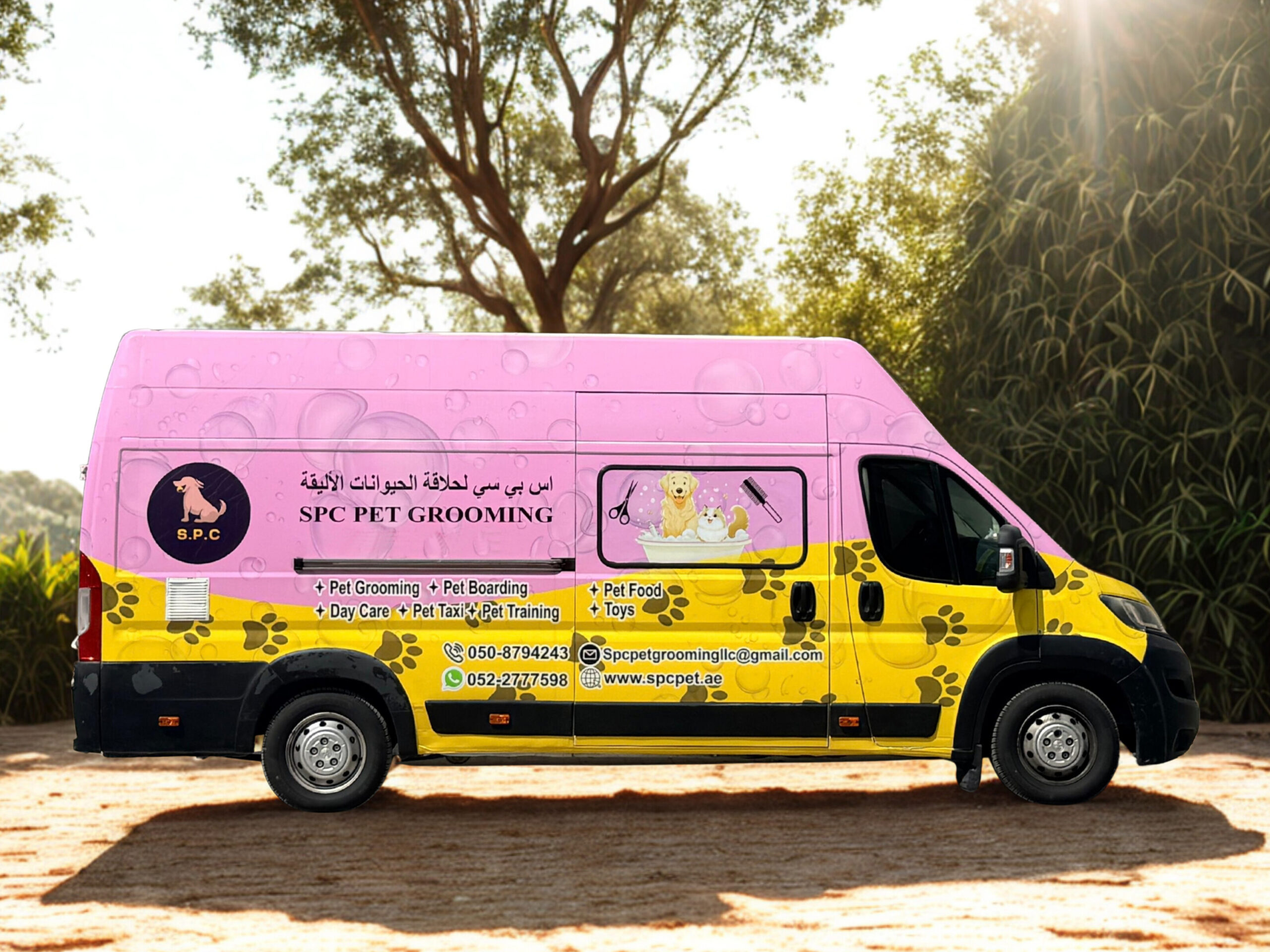 5bc84784-3a2b-4bc3-818c-3e8d862c1b54